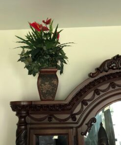 Nearly Natural 6678 Mixed Greens and Anthurium with Vase Decorative Silk Plant, Green 34 71jN4E2d9XL