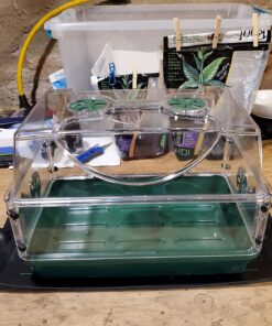 EarlyGrow 93763 Medium Seed and Herb Domed Propagator with Vented Side Height Extension, Extender, Green Medium with Side Extender 46 71jNCAQJyEL