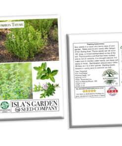 Common Thyme Seeds for Planting, 1000+ Seeds Per Packet, (Isla's Garden Seeds), Non GMO & Heirloom Seeds, Botanical Name: Thymus vulgaris, Great Herb Garden Seeds 18 71jNRSNRRrL