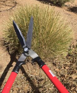 TABOR TOOLS B212A Telescopic Hedge Shears with Wavy Blade and Extendable Steel Handles. Extendable Manual Hedge Clippers for Trimming Borders, Boxwood, and Tall Bushes. B212A Extendable Hedge Shears 34 71jQbf f4vL