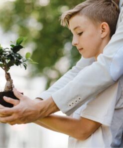 9GreenBox Bonsai Fertilizer Pellets - Ready-to-Use Time-Release Granular Food for Potted Dwarf Trees - Perfect for Beginners - Strong 18-6-9 Formula for Better Foliage and Healthier Roots - 5oz Bag 10 71jRTgp4lL