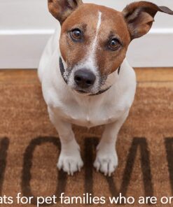 ETTA SAYS! Dog Liver Sprinkles for Dogs – Pack of 1 – 3 oz. Dog Food Topper, Dog Food Seasoning, Freeze Dried Liver 3 Ounce (Pack of 1) 12 71jRl JqxlL