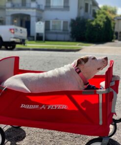 Radio Flyer 3-in-1 EZ Folding Wagon Ride On For Kids, Garden, & Cargo, Red Collapsible Wagon Base 70 71jSbvuRwoL