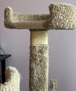 SGT KNOTS Twisted Sisal Rope for Cat Tree Replacement Parts - Sisal Twine Natural Rope and Thick Twine for Crafts, DIY, Gardening, Decor, Indoor, Outdoor Use - Sisal Rope in Multiple Lengths 1/4 inch x 10 feet 17 71jT5iuQe0L