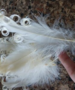 Ivory Nagorie Goose Feathers, 5" to 7" (10/Pack) 5 71jTrY8D2FL
