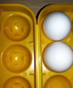 Coghlan's Egg Holder 12 Eggs 38 71jWI2qVRWL