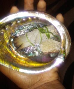 Vrinda ®Abalone Shell and 6'' Wooden Tripod Stand 30 71jZeOwtGpL