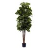 Nearly Natural 6ft Fiddle Leaf Fig Artificial Trees, 72in, Green 72 in 53 71jdzfcecpL