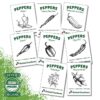 Hot Pepper Seeds - Organic Heirloom Chili Seed Variety Pack for Planting - Cayenne, Jalapeno, Habanero, Poblano, and More 5 71jecfn5zdL
