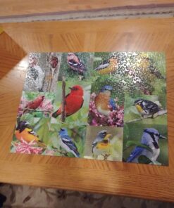 Springbok Birds of a Feather 500 piece Jigsaw Puzzle for Adults features a photo collage of colorful American birds 19 71jkEDvJNqL
