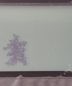 Godox AD400 Pro AD400Pro Outdoor Flash Strobe, Portable 400W 2.4G TTL 1/8000 HSS Monolight, 0.01-1s Recycle, 30W LED Modeling Lamp with Rechargeable Battery and Bowens Mount 67 71jkZiJTvCL