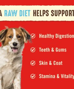 Stella & Chewy's Freeze Dried Raw Dinner Patties – Grain Free Dog Food, Protein Rich Dandy Lamb Recipe – 14 oz Bag 14 Ounce (Pack of 1) 14 71jl7F31wFL