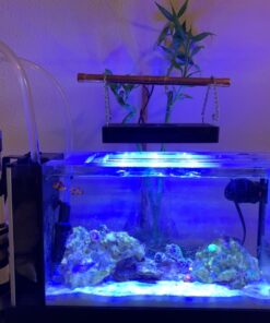 Boyd Chemi-Pure Blue Nano Aquarium (5 Pack) 19 71jnOA6X6VL