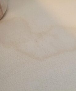 Blue Coral DC22 Upholstery Cleaner Dri-Clean Plus with Odor Eliminator, 22.8 oz. Aerosol 65 71jo2ph67RL