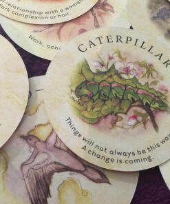 Tea Leaf Fortune Cards 60 71joOHawLXL