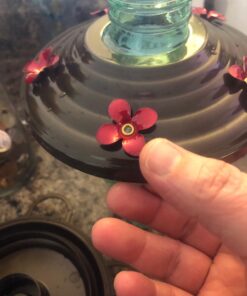 BOLITE 18001 Hummingbird Feeder, Glass Wild Hummingbird Feeders for Outdoors, Retro Edison Bulb Bottle, 25 Ounces, Green, Xmas Gifts for Bird Lovers Retro Bulb 37 71jqjtPpIEL