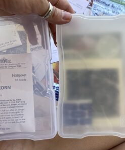 IRIS Extra Large 4" x 6" Photo and Embellishment Craft Keeper, 2 Pack, Clear 37 71jrP5kn2uL