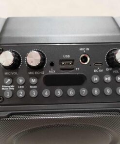 Karaoke Machine with Two Wireless Microphones, Portable Karaoke Machine for Adults & Kids, Portable Bluetooth Speaker with PA System, LED Lights, Supports TF Card/USB, AUX in, FM, USB,TWS (Red) red 24 71jt7o1gNBL