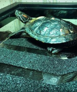 OASIS #64226 Turtle Ramp - Large 16-Inch by 11-Inch by 4-1/2-Inch, Black 32 71jtayaO8UL