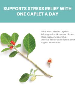 Himalaya Organic Ashwagandha, 60 Day Supply, Herbal Supplement for Stress Relief, Energy Support, Occasional Sleeplessness, USDA Certified Organic, Non-GMO, Vegan, Gluten Free, 670 mg, 60 Caplets 35 71jur7eFq8L