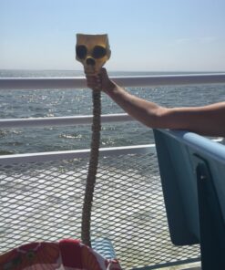 Fun World Skull Beer Funnel One Size 25 71jvGqsvqXL