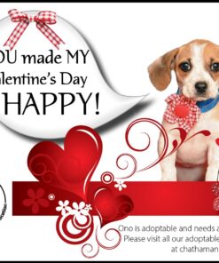 NextDayLabels - 8-1/2 x 11 Laser and Inkjet Printer Postcards 4 up Per Page, (4-1/4" x 5-1/2" After Perf) 100 Sheets / 400 Cards 100 Sheets (400 Cards) 21 71jvZ0069BL