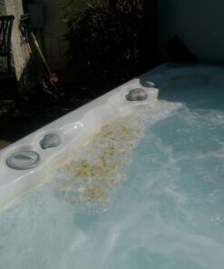 SeaKlear Spa System Flush, 1 Pint Bottle 32 71k0gk1hTAL