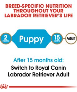 Royal Canin Labrador Retriever Puppy Breed Specific Dry Dog Food, 30 lb. bag 27 71k3AT6JtmL