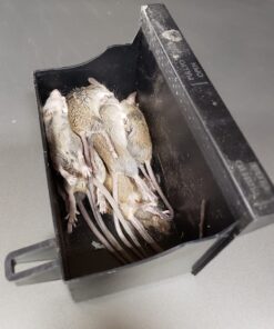 Victor M260 Indoor Multi-Kill Humane Electronic Mouse Trap - No Touch, No See Electronic Instant Kill Mouse Trap – Kills & Holds Up to 10 Mice Per Setting 1 Trap 22 71k4SNU0y9L