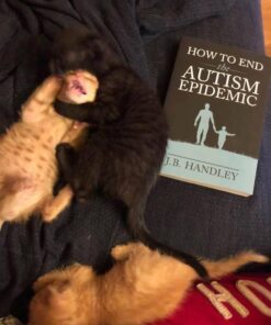 Alternative view of How to End the Autism Epidemic