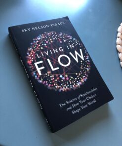 Alternative view of Living in Flow: The Science of Synchronicity and How Your Choices Shape Your World