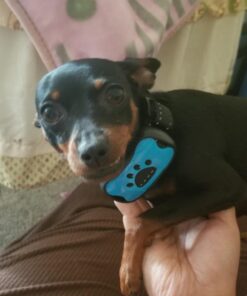 Dog Bark Collar - Stop Dogs Barking Fast! Safe Anti Barking Devices Training Control Collars, Small, Medium and Large pet deterrent. No shock, remote or citronella. Sound, vibration training device 33 71kI4N1PnWL