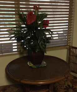 Nearly Natural 6678 Mixed Greens and Anthurium with Vase Decorative Silk Plant, Green 30 71kLMnM 4L