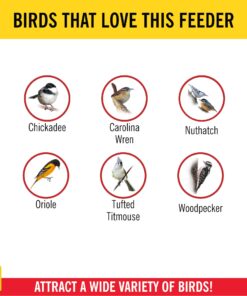 More Birds Double Suet Cage Bird Feeder with Metal Roof, Fruit and Suet Feeder, 2 Suet Cake Capacity Brown Double Cage 29 71kOOkDqUHL