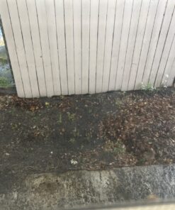 Simple Green Outdoor Odor Eliminator for Pets, Dogs, 1 gallon Refill - Ideal for Artificial Lawns & Patio, Milky White 33 71kQiFM9TJL