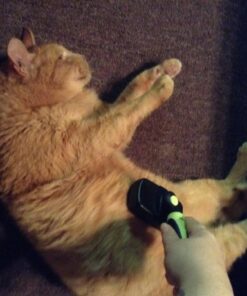 The Pet Portal Self Cleaning Dog Brush for Shedding Slicker Brush Cat Long Haired Pet Brush Grooming Deshedding Supplies - Small Pets Black 35 71kRmRsBnsL