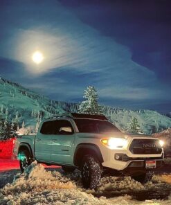 Chevron 65740 Techron Concentrate Plus Fuel System Cleaner, 20 Fl-Ounce 20 Fl Oz (Pack of 1) 20 oz. 31 71kUCSyndFL