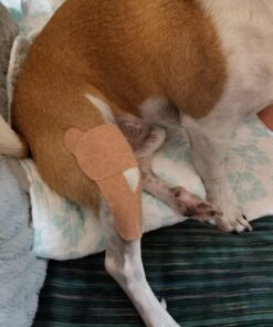 THERABAND Kinesiology Tape, Waterproof Physio Tape for Pain Relief, Muscle & Joint Support, Standard Roll with XactStretch Application Indicators, 2 Inch x 16.4 Foot Roll, Beige/Beige 13 71kUjZiB6aL