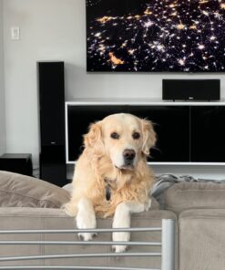 Purina DentaLife Made in USA Facilities Large Dog Dental Chews, Daily - (4) 18 ct. Pouches 18 Count (Pack of 1) 34 71kWSTtr3bL