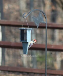 C&S Peanut Delight No Melt Suet Dough, 12/pack 11.75 Ounces Peanut 12-Pack 42 71kXX0UIBeL