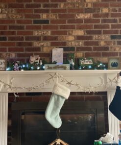 Impress Life Decorative String Lights, Sea Glass Festive Beach Themed 10 ft 40 LEDs Battery&USB Cord Operated Eco-Friendly with Multi-Function Remote for Tent Wedding Nursery Bedroom Party Ornament 57 71kYINDgOqL