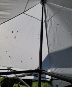 ABCCANOPY Heavy Duty Ez Pop up Canopy Tent with Sidewalls 10x10, White 43 71kYf0vionL