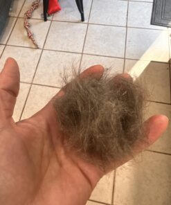 SleekEZ Original Deshedding Grooming Tool for Dogs, Cats & Horses - Undercoat Brush for Short & Long Hair - Painlessly Remove 95% of Loose Hair, Fur & Dirt - Easy to Clean - USA Made - (2.5 inch) 2.5 Inch (Pack of 1) 29 71kZS5C2BvL 2