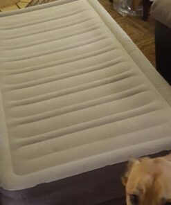 Intex Comfort Dura-Beam Airbed Internal Electric Pump Bed Height Elevated (2020 Model) Twin (300 Lbs) Mid Rise (13") 49 71kbfRI6pNL