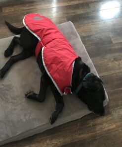 Zack & Zoey Nor'Easter Blanket Coat, X-Large, Red 1 50 71kbzl9ITvL 1