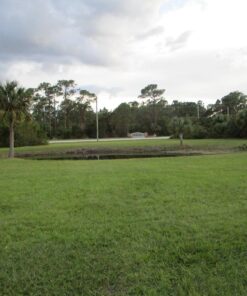 Jenlis The Original Weed Razer, Lake Weed Cutter, Large Pond Aquatic Plant Cutting Tool, Long and Sharp Razor Blades Shear Cattail, Reed, Lilly & Chara Algae, 48 Inch Cut Width, 25 Foot Throw Rope Jenlis Weed Razer Aquatic Weed Cutter 47 71kdTq12GsL