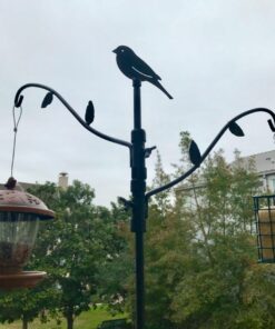 Heath Outdoor Products S-1-8 Single Hanging Suet Feeder , Green 1 9 71kiGxArNHL