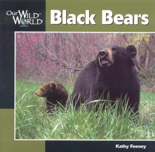 Black Bear (Our Wild World)