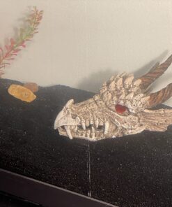 Penn-Plax Deco-Replicas Dragon Skull Gazer Aquarium Decoration – Safe for Freshwater and Saltwater Fish Tanks – Large 13 71kli5B8puL