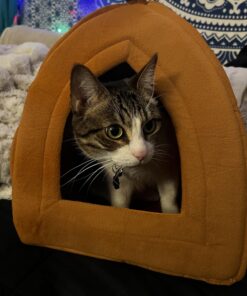 Cat House - Indoor Cat Bed with Removable Foam Cushion - Pet Tent for Kittens, Rabbits, Guinea Pigs, and Other Small Animals by PETMAKER (Brown) Light Brown 46 71klnEb3XML